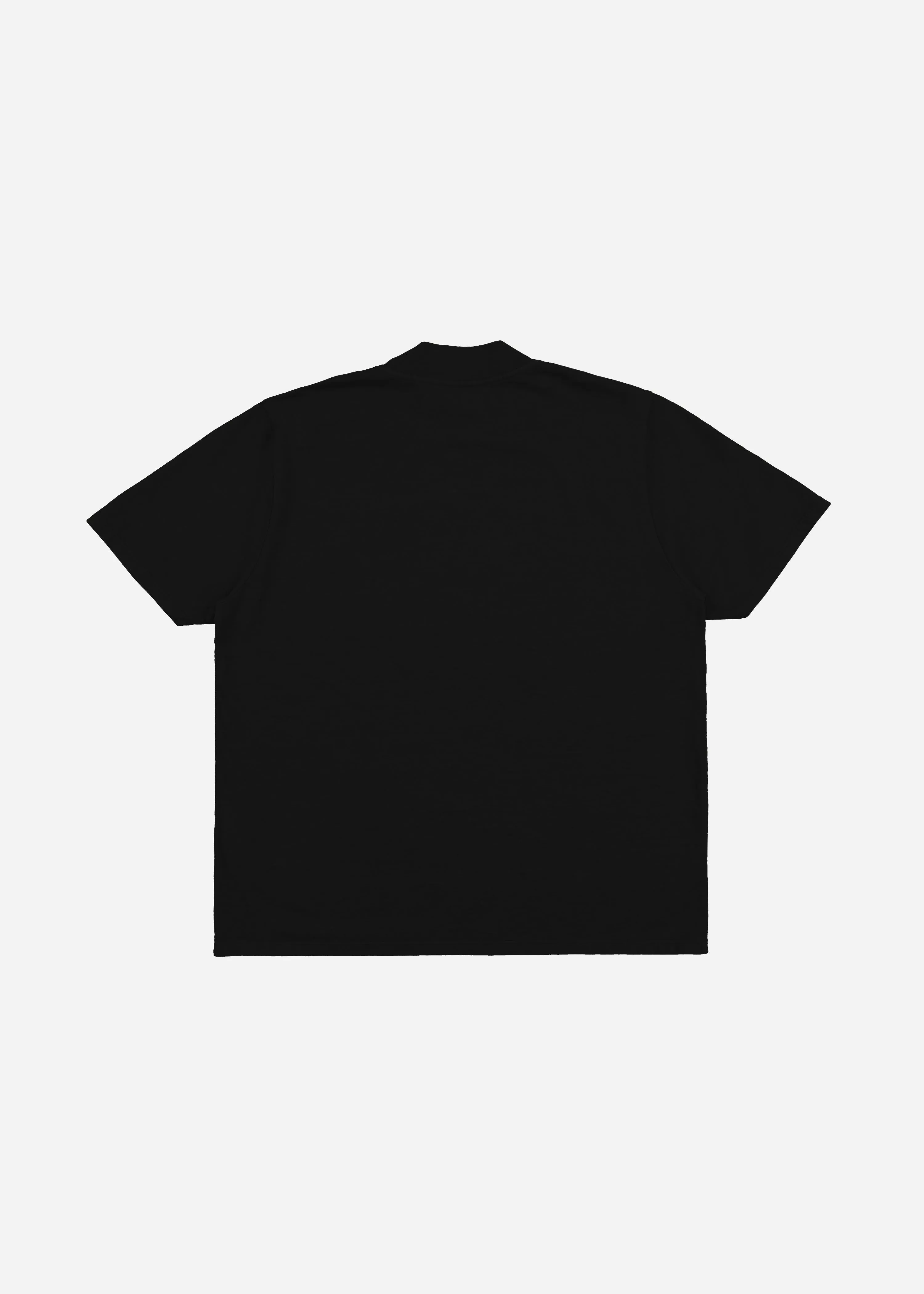 Heavyweight Mock Neck Tee